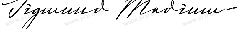 Sigmund Medium字体转换